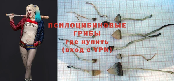 2c-b Краснотурьинск