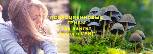 амф Краснослободск