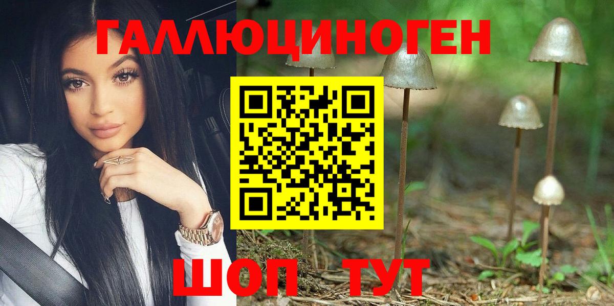 Псилоцибиновые грибы мухоморы Туймазы