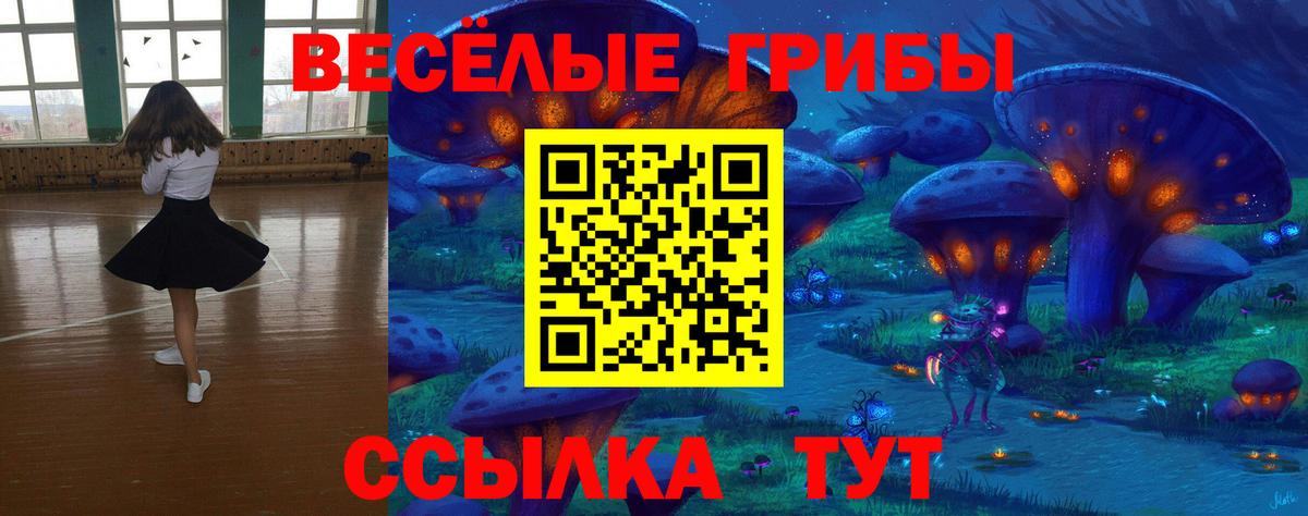 Галлюциногенные грибы Magic Shrooms  Вход с VPN  Туймазы 